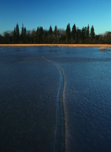 Ice Fissure, Vernal Pond, Pine Barrens, Atlantic County, NJ County, NJ (MF).jpg Ice Fissure, Vernal Pond, Pine Barrens, Atlantic County, NJ County, NJ (MF).jpg